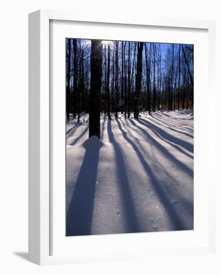 Snow in the Northern Hardwood Forest, Maine, USA-Jerry & Marcy Monkman-Framed Photographic Print