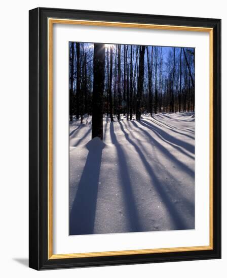 Snow in the Northern Hardwood Forest, Maine, USA-Jerry & Marcy Monkman-Framed Photographic Print