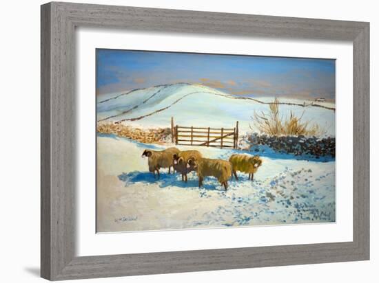 Snow in the Yorkshire Dales (Oil on Board)-William Ireland-Framed Giclee Print