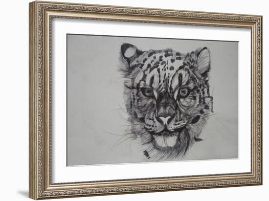 Snow Leopard, 2016-Lou Gibbs-Framed Giclee Print