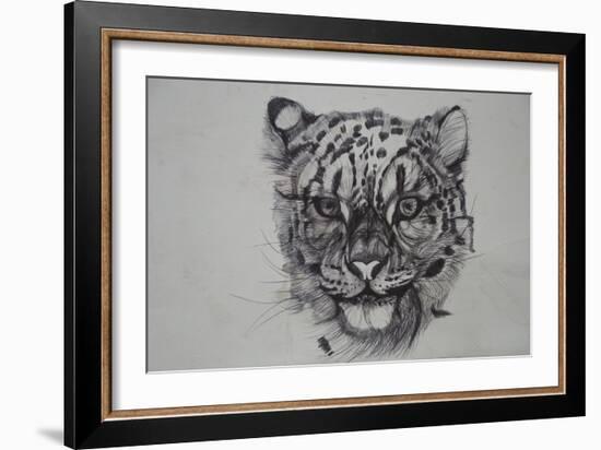 Snow Leopard, 2016-Lou Gibbs-Framed Giclee Print