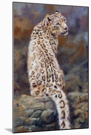 Snow Leopard 2-David Stribbling-Mounted Art Print