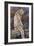 Snow Leopard 2-David Stribbling-Framed Art Print