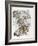 Snow Leopard and Ghost Image-Barbara Keith-Framed Giclee Print