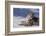 Snow Leopard in Snow-DLILLC-Framed Photographic Print