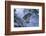 Snow Leopard in Snow-DLILLC-Framed Photographic Print