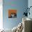 Snow Leopard Orange-Sharon Turner-Art Print displayed on a wall