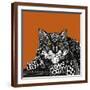 Snow Leopard Orange-Sharon Turner-Framed Art Print