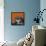 Snow Leopard Orange-Sharon Turner-Framed Stretched Canvas displayed on a wall