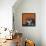 Snow Leopard Orange-Sharon Turner-Framed Stretched Canvas displayed on a wall
