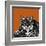 Snow Leopard Orange-Sharon Turner-Framed Art Print