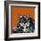 Snow Leopard Orange-Sharon Turner-Framed Art Print