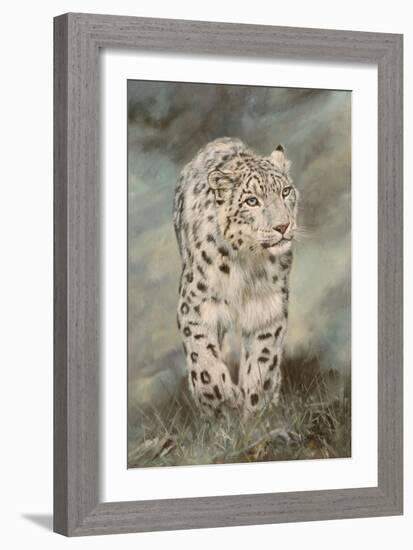 Snow Leopard panel-David Stribbling-Framed Art Print