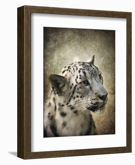 Snow Leopard Portrait-Jai Johnson-Framed Giclee Print