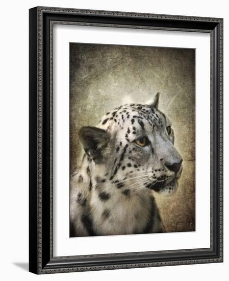 Snow Leopard Portrait-Jai Johnson-Framed Giclee Print