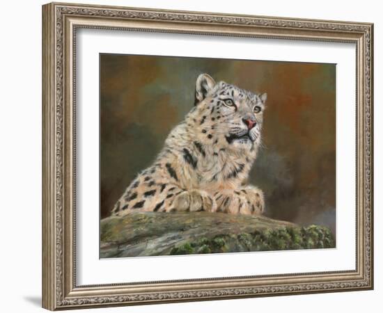 snow leopard rock-David Stribbling-Framed Art Print