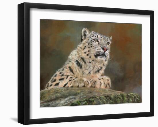 snow leopard rock-David Stribbling-Framed Art Print