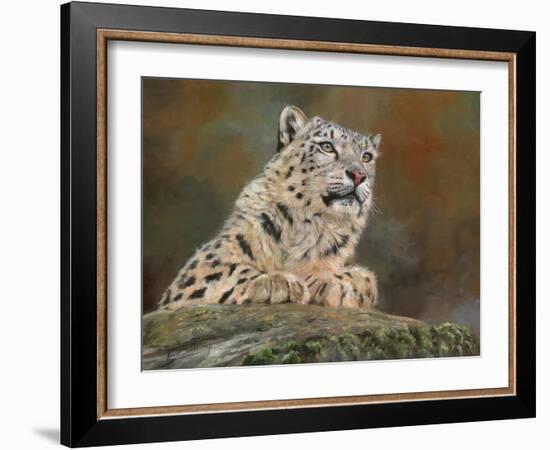 snow leopard rock-David Stribbling-Framed Art Print