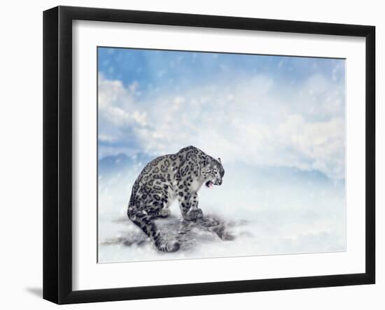 Snow Leopard Sitting on the Rock-Svetlana Foote-Framed Photographic Print