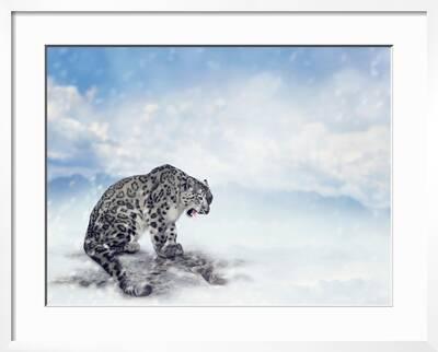 Snow Leopard Sitting On The Rock Photographic Print Svetlana Foote Art Com