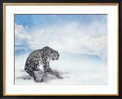 Snow Leopard Sitting On The Rock Photographic Print Svetlana Foote Art Com