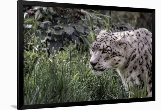 Photo, , large