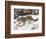 Snow Leopard (Uncia Uncia) in the Snow, in Captivity, Near Bozeman, Montana, USA-James Hager-Framed Photographic Print