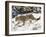 Snow Leopard (Uncia Uncia) in the Snow, in Captivity, Near Bozeman, Montana, USA-James Hager-Framed Photographic Print