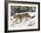 Snow Leopard (Uncia Uncia) in the Snow, in Captivity, Near Bozeman, Montana, USA-James Hager-Framed Photographic Print