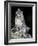 Snow Leopard, Uncia Uncia, Panthera Uncia, Nepal-Andres Morya Hinojosa-Framed Photographic Print