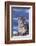 Snow Leopard-DLILLC-Framed Photographic Print