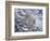 Snow Leopard-Jeff Tift-Framed Giclee Print