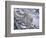 Snow Leopard-Jeff Tift-Framed Giclee Print