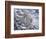 Snow Leopard-Jeff Tift-Framed Giclee Print