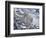 Snow Leopard-Jeff Tift-Framed Giclee Print