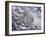 Snow Leopard-Jeff Tift-Framed Giclee Print