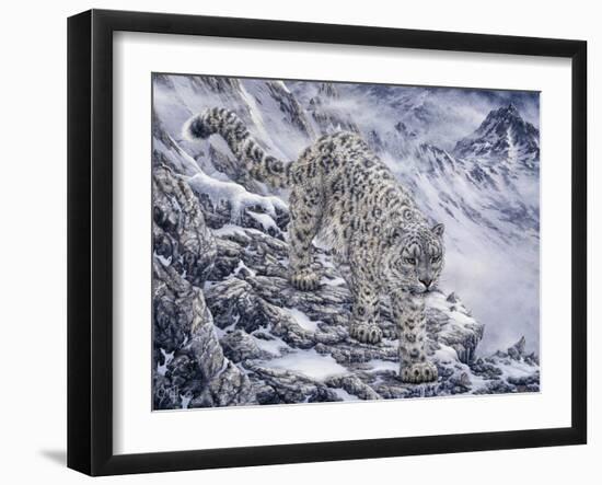 Snow Leopard-Jeff Tift-Framed Giclee Print