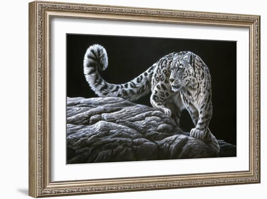 Snow Leopard-Jeremy Paul-Framed Giclee Print