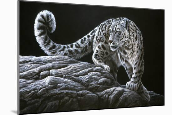 Snow Leopard-Jeremy Paul-Mounted Giclee Print