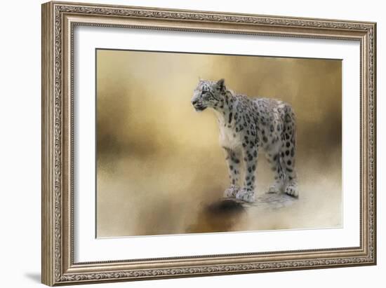 Snow Leopard-Jai Johnson-Framed Giclee Print