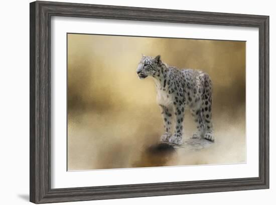 Snow Leopard-Jai Johnson-Framed Giclee Print