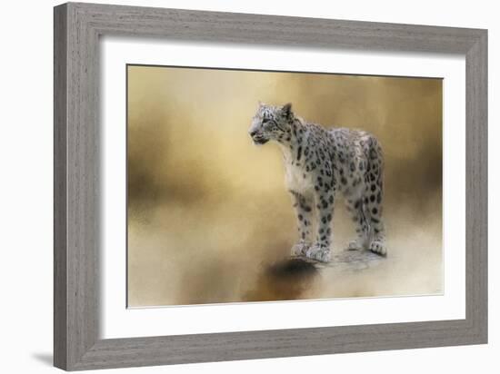 Snow Leopard-Jai Johnson-Framed Giclee Print