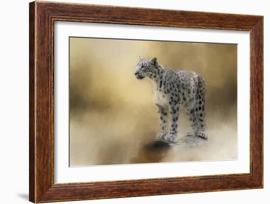 Snow Leopard-Jai Johnson-Framed Giclee Print