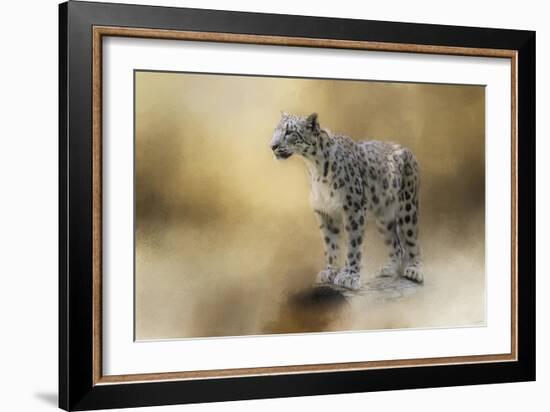 Snow Leopard-Jai Johnson-Framed Giclee Print