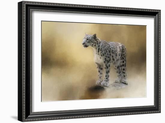 Snow Leopard-Jai Johnson-Framed Giclee Print