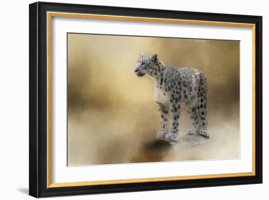 Snow Leopard-Jai Johnson-Framed Giclee Print