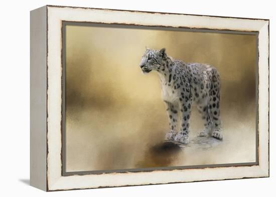 Snow Leopard-Jai Johnson-Framed Premier Image Canvas