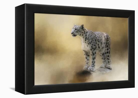 Snow Leopard-Jai Johnson-Framed Premier Image Canvas