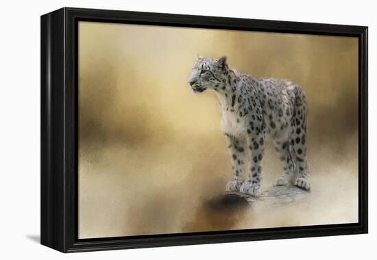 Snow Leopard-Jai Johnson-Framed Premier Image Canvas