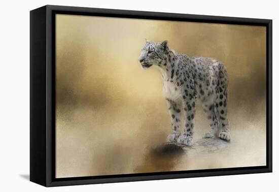 Snow Leopard-Jai Johnson-Framed Premier Image Canvas